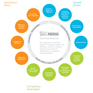 Nestlé Roadmap - Click image to enlarge