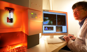 Researcher
