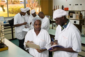 Food technologists at work