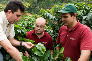 Ecolaboration team in Guatemala