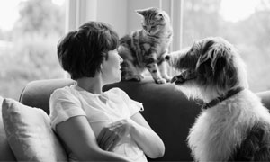 Nestlé Purina PetCare