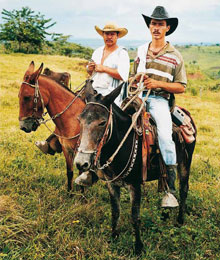 Farmhands in Caquetá, Colombia