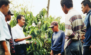 Coffee farmers in Indonesia