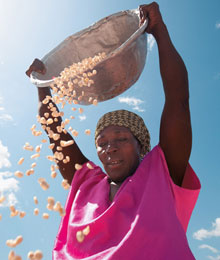 Farmer in Africa
