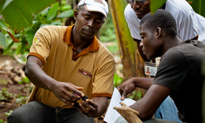 Cocoa farmers in Côte d'Ivoire