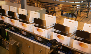 Dolce Gusto