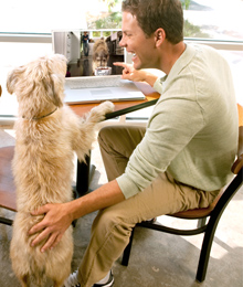 Nestlé Purina TV commercial for dogs