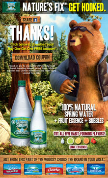 Nature's Fix bear poster