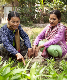 Puth Saroeun, a Farm Business Advisor
