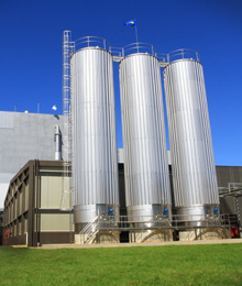 Osorno Factory