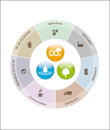 Nescafé life cycle assessment graphic