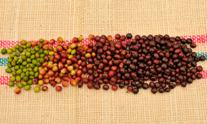 Coffee beans