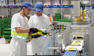 Nestlé Purina factory in Bük