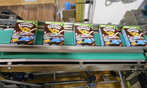Production line at Chembong factory, Malaysia
