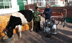 Nestlé Agriculture Service Manager with farmer