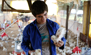 Boy with chicks