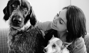 Two dogs and their owner