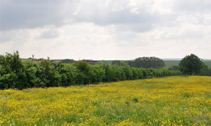 Vosges region, France