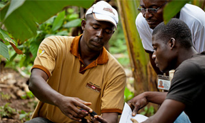 Cocoa farmers