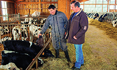 farmers feeding livestock