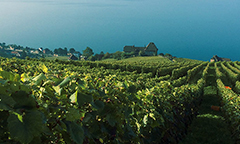 Lake Geneva region