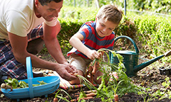 father and son gardening together