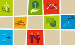 Nestlé's interactive commitments