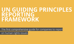 United Nations reporting framework