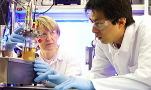 Scientists at work