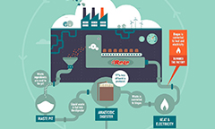 infographic