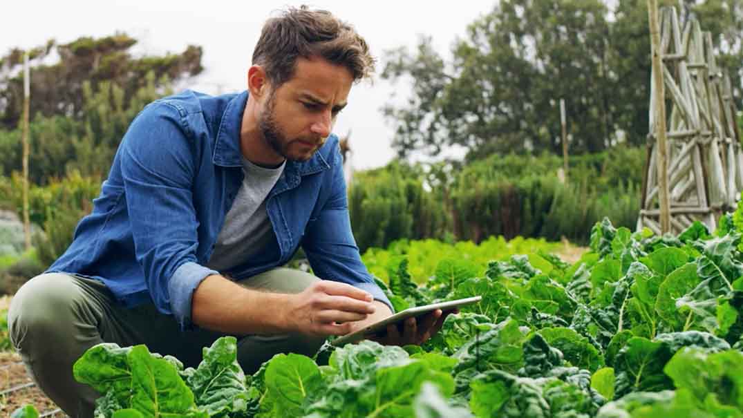 young farmer