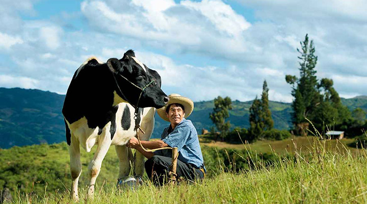 Farmer with cow