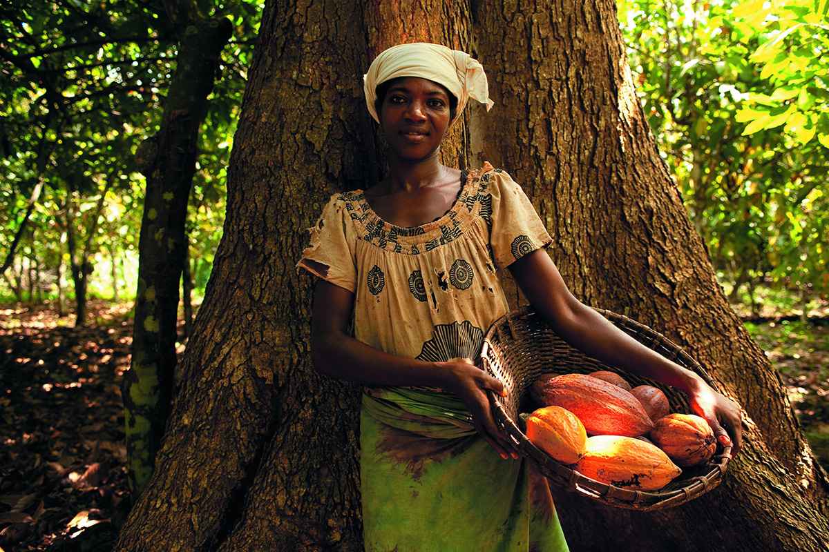 Cocoa farmer
