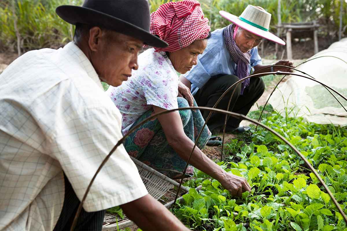 Farmers