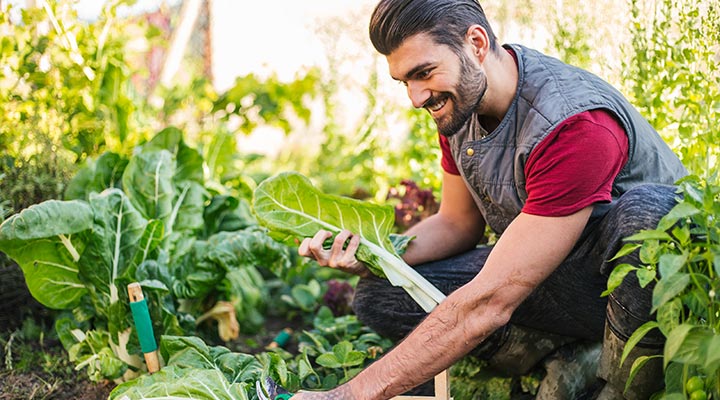 Young man gardening