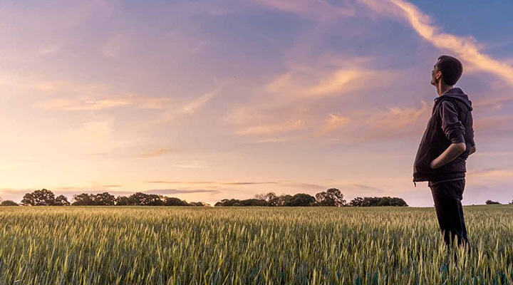 Young man standing in the field looking at the sunrise