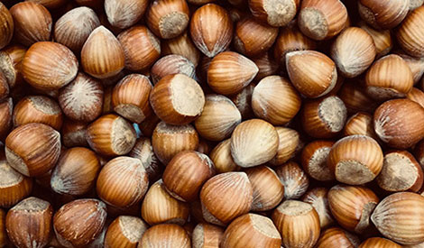 Hazelnuts