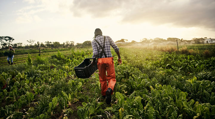 Nestlé is combatting climate change in multiple ways.