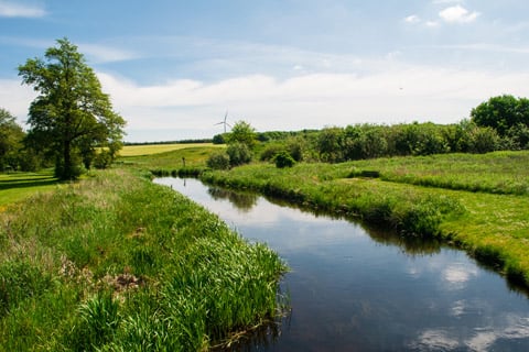 River flowing through fields