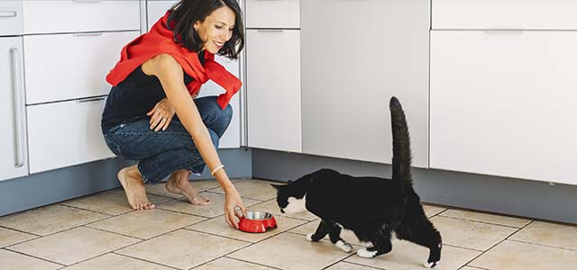 purina-uk-factory-alert.jpg