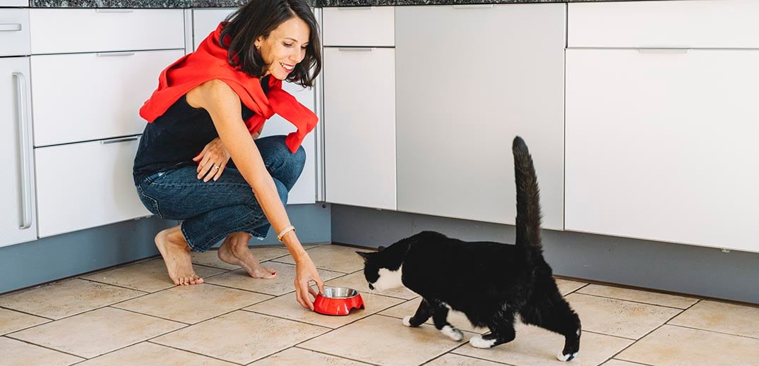 Woman feeding a cat