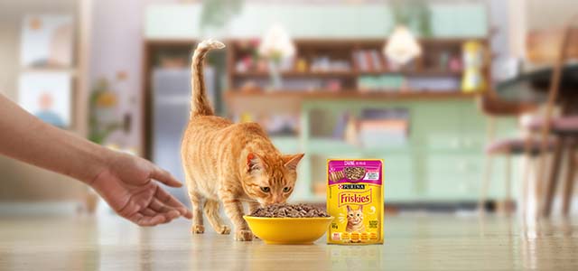 purina-brazil-alert.jpg