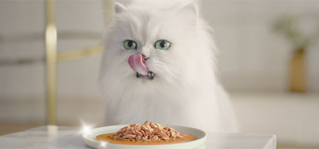 gourmet-perle-alert.jpg