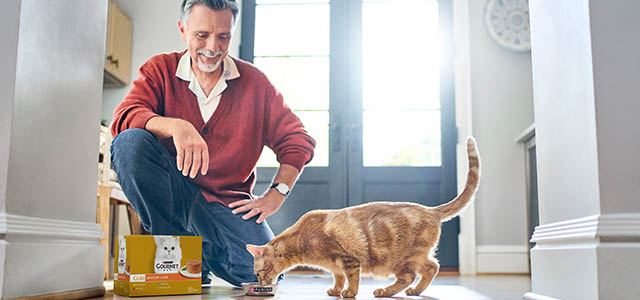purina-petcare-europe-investment-alert.jpg