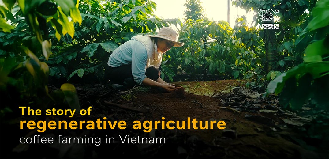 regenerative agriculture coffee farming in Vietnam