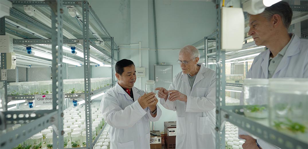 wide3.jpg  Researchers examining plant samples in a laboratory supporting sustainable coffee farming
