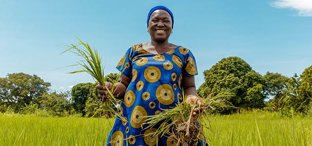 africa food prize alert