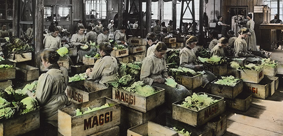 Maggi factory