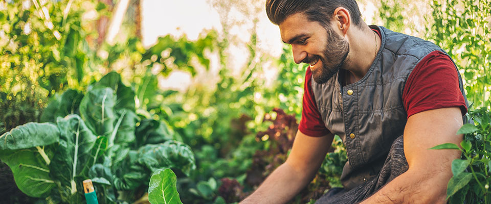 CSV - Linkbox - Improving livelihoods in communities