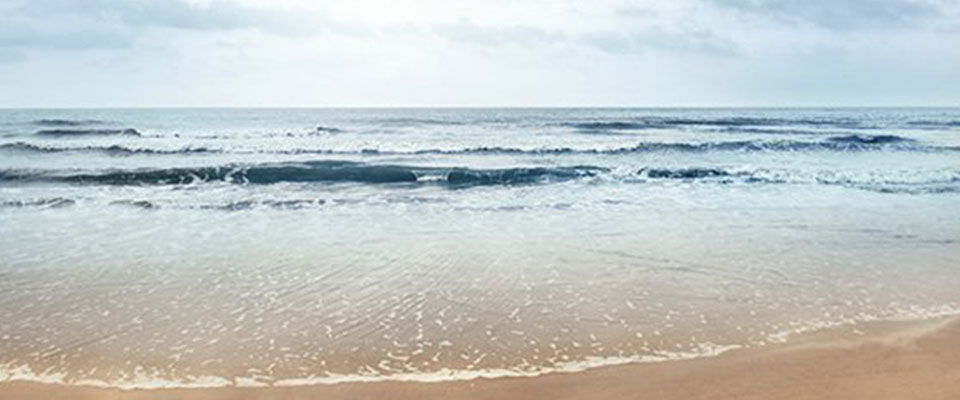 information-tackling-plastic-pollution